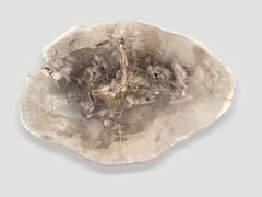 Andrianna Shamaris Minimalist Slab Petrified Wood Coffee Table