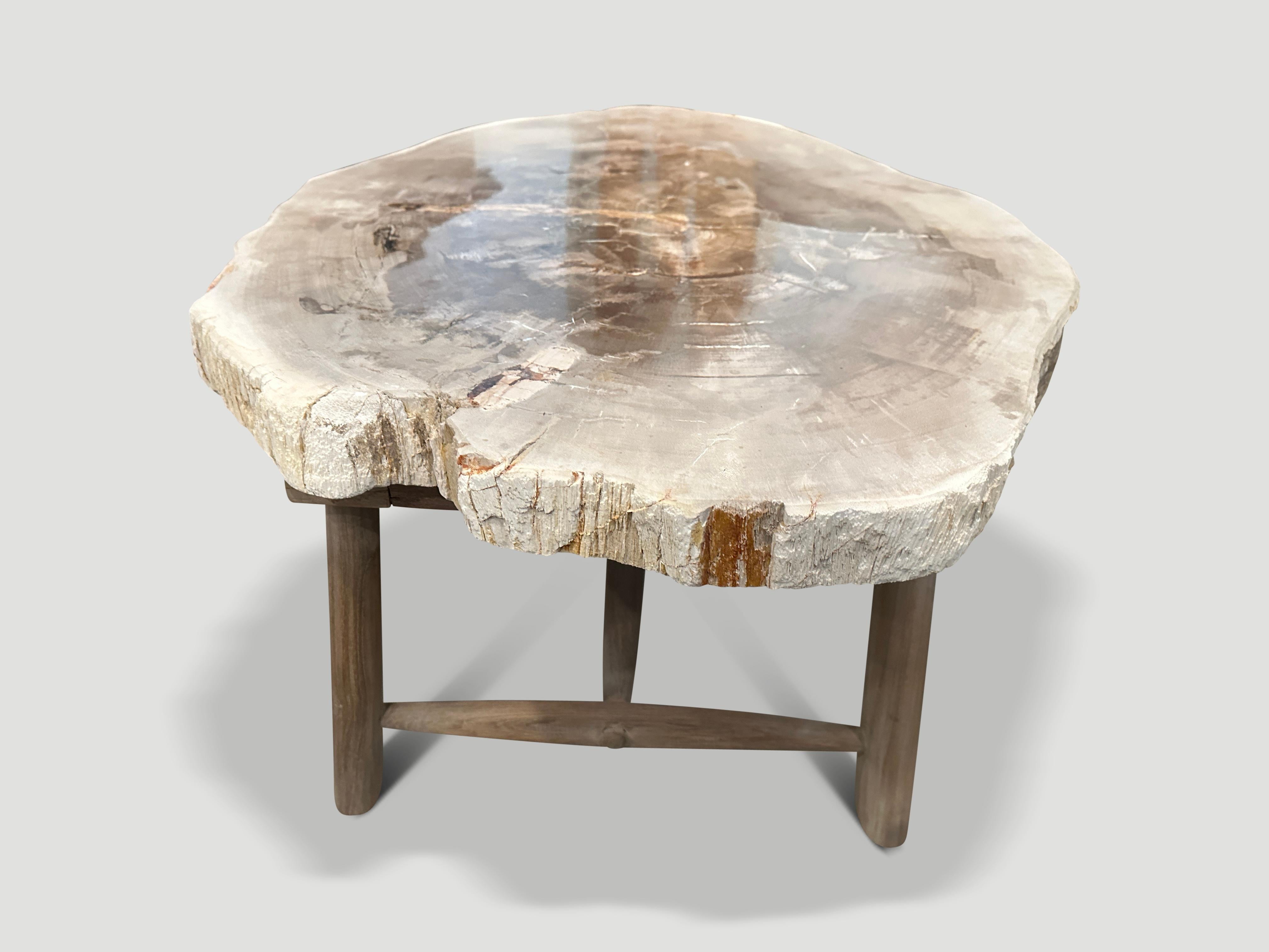 Organic Modern Andrianna Shamaris Minimalist Slab Petrified Wood Coffee Table For Sale