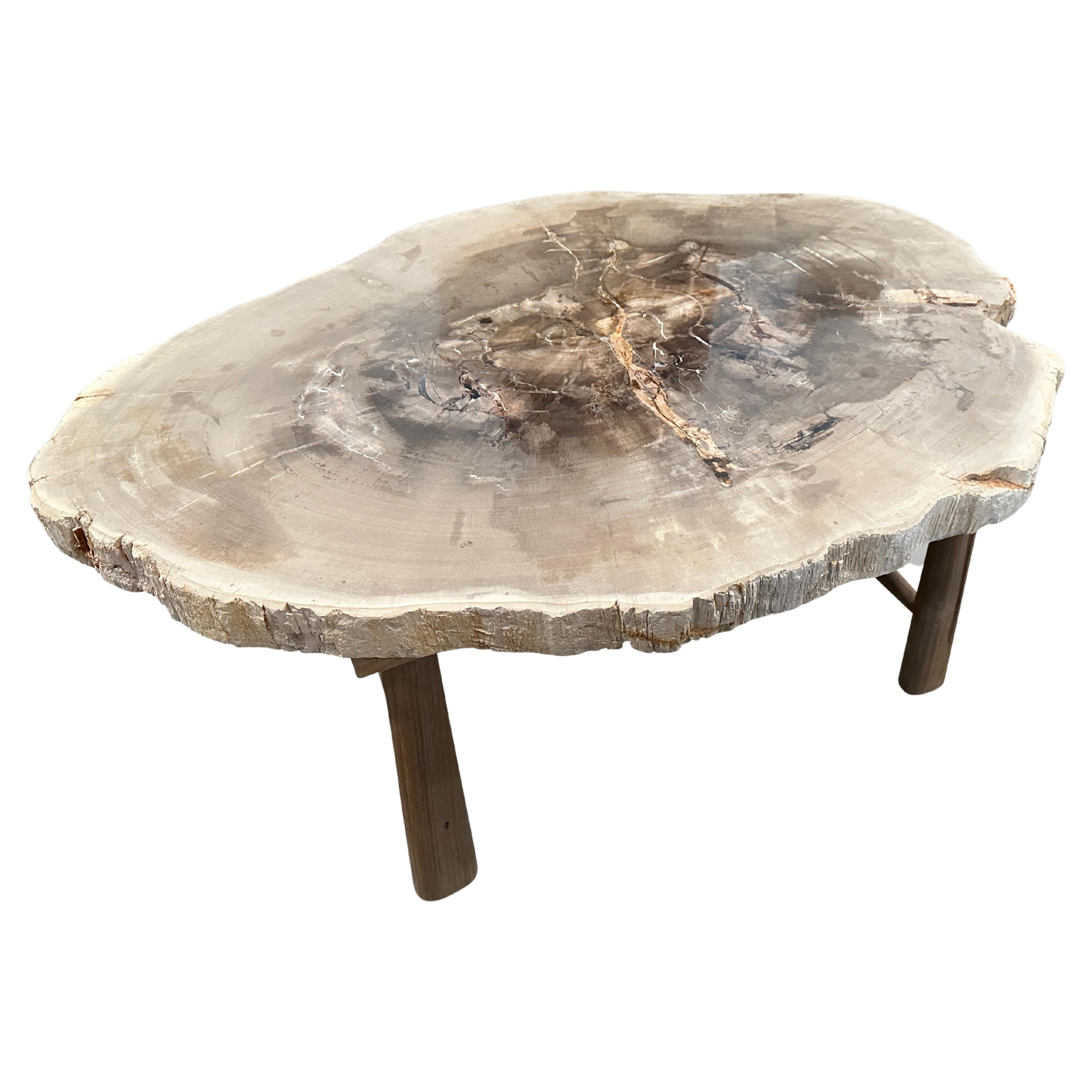 Andrianna Shamaris Minimalist Slab Petrified Wood Coffee Table For Sale