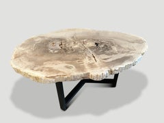 Andrianna Shamaris Minimalist Slab Top Petrified Wood Coffee Table