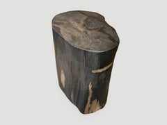 Andrianna Shamaris Minimalist Super Smooth Petrified Wood Side Table
