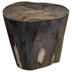 Andrianna Shamaris Minimalist Super Smooth Petrified Wood Side Table