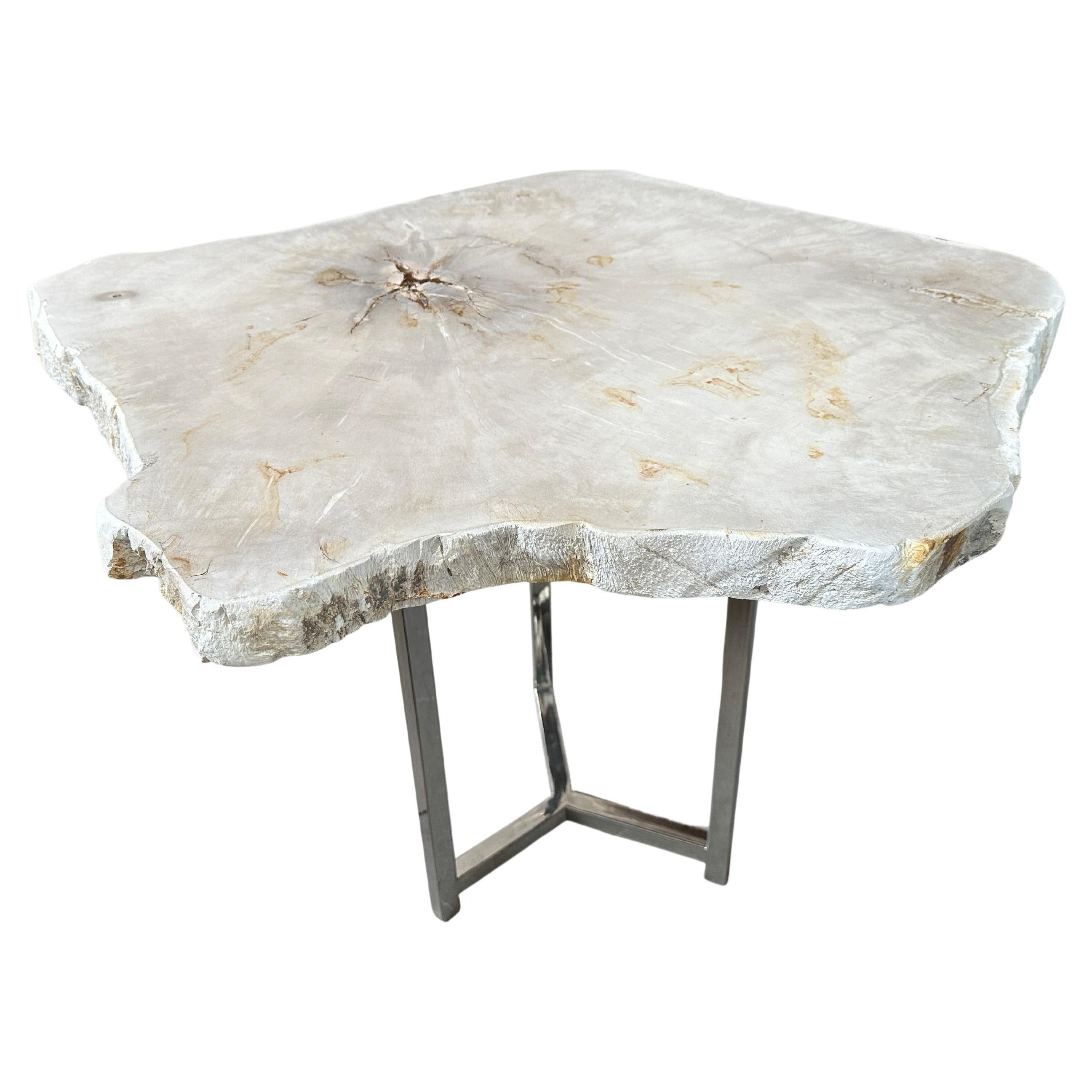Andrianna Shamaris Minimalist Super Smooth Petrified Wood Tall Side Table