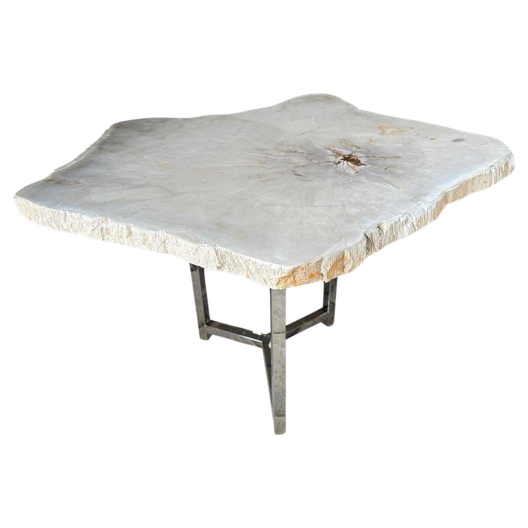 Andrianna Shamaris Minimalist Super Smooth Petrified Wood Tall Side Table