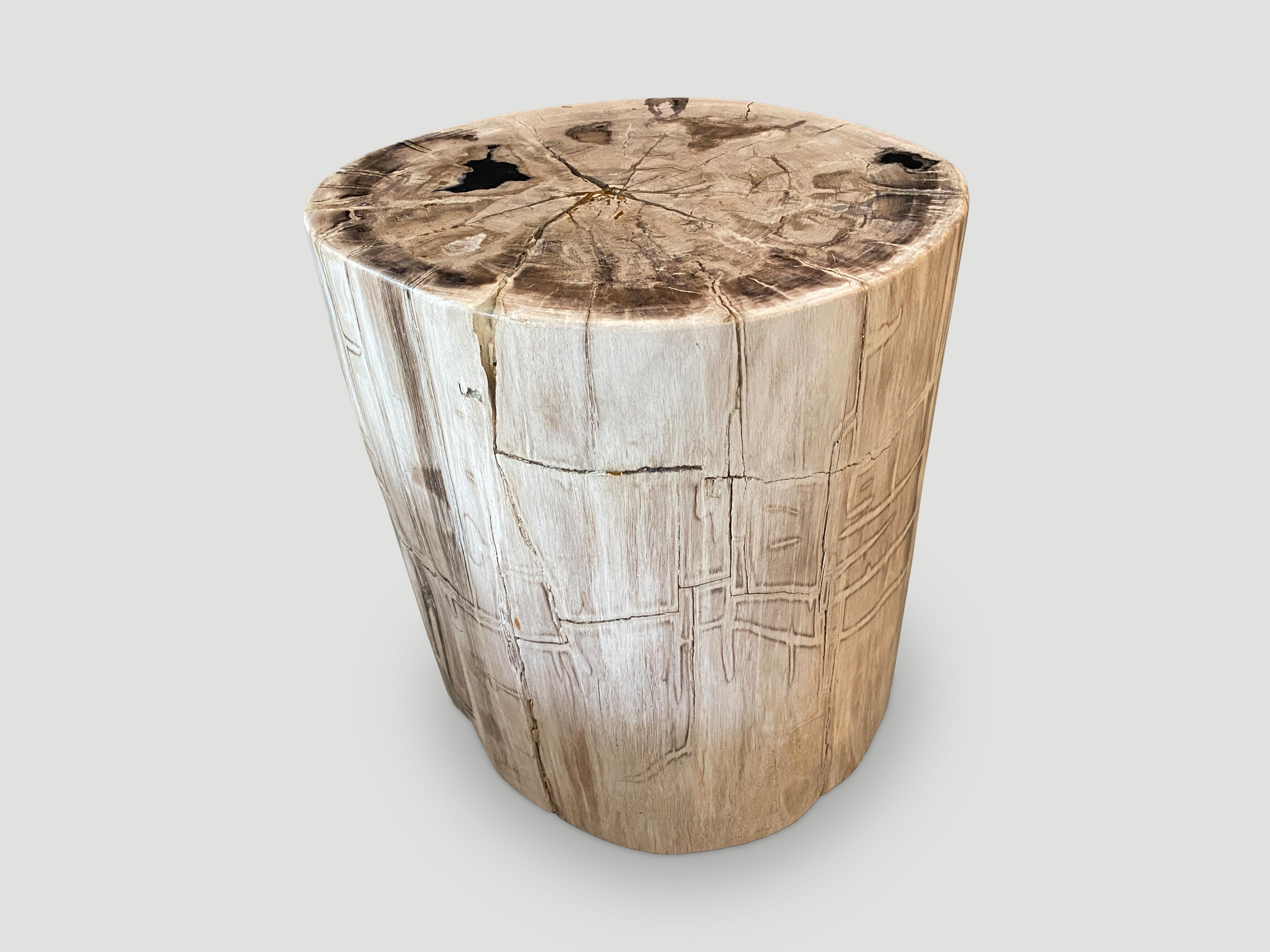 Stunning pale tones with beautiful markings on this petrified wood side table. It’s fascinating how Mother Nature produces these exquisite 40 million year old petrified teak logs with such contrasting colors and natural patterns throughout. Modern