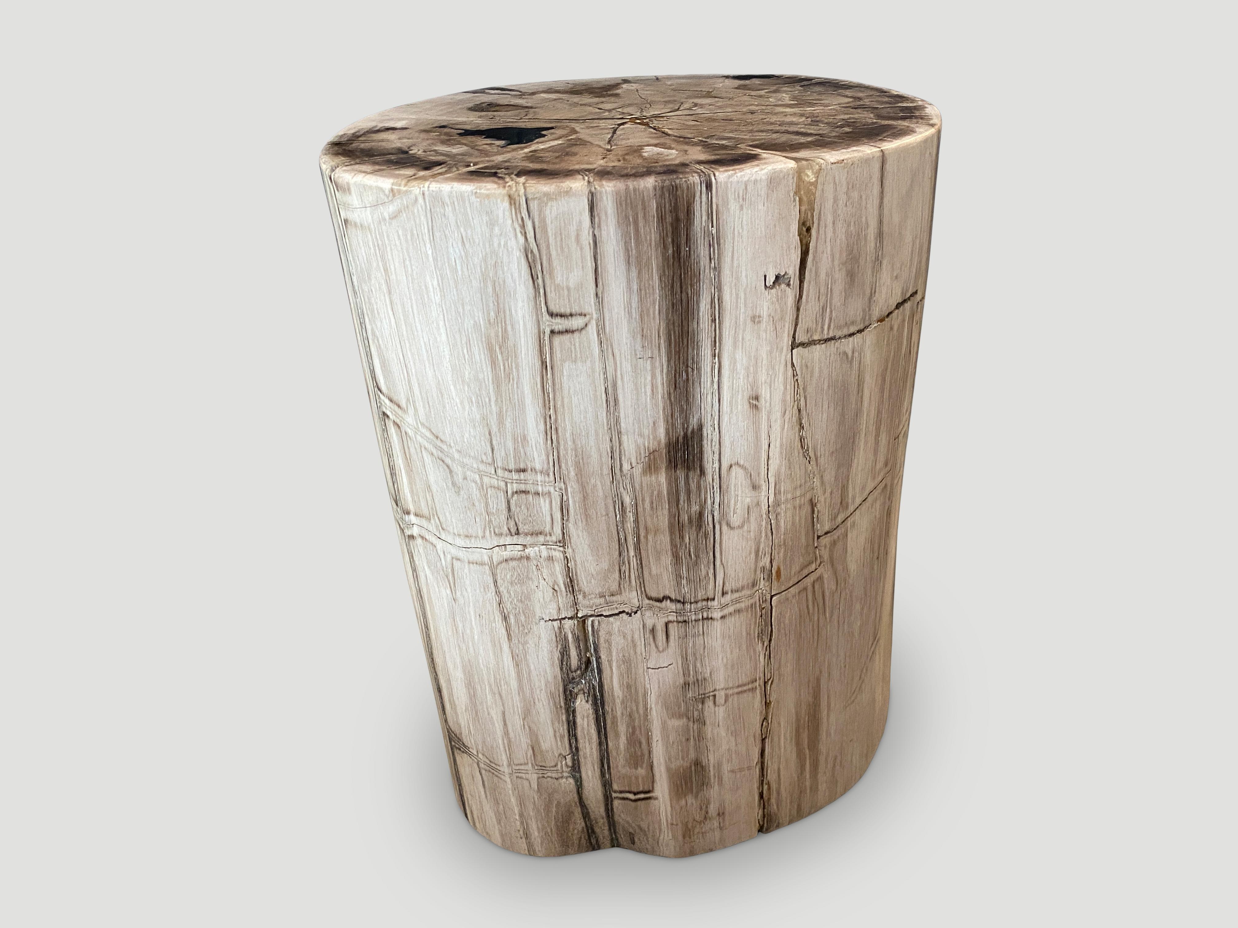 Andrianna Shamaris Minimalist Unique High Quality Petrified Wood Side Table In Excellent Condition In New York, NY