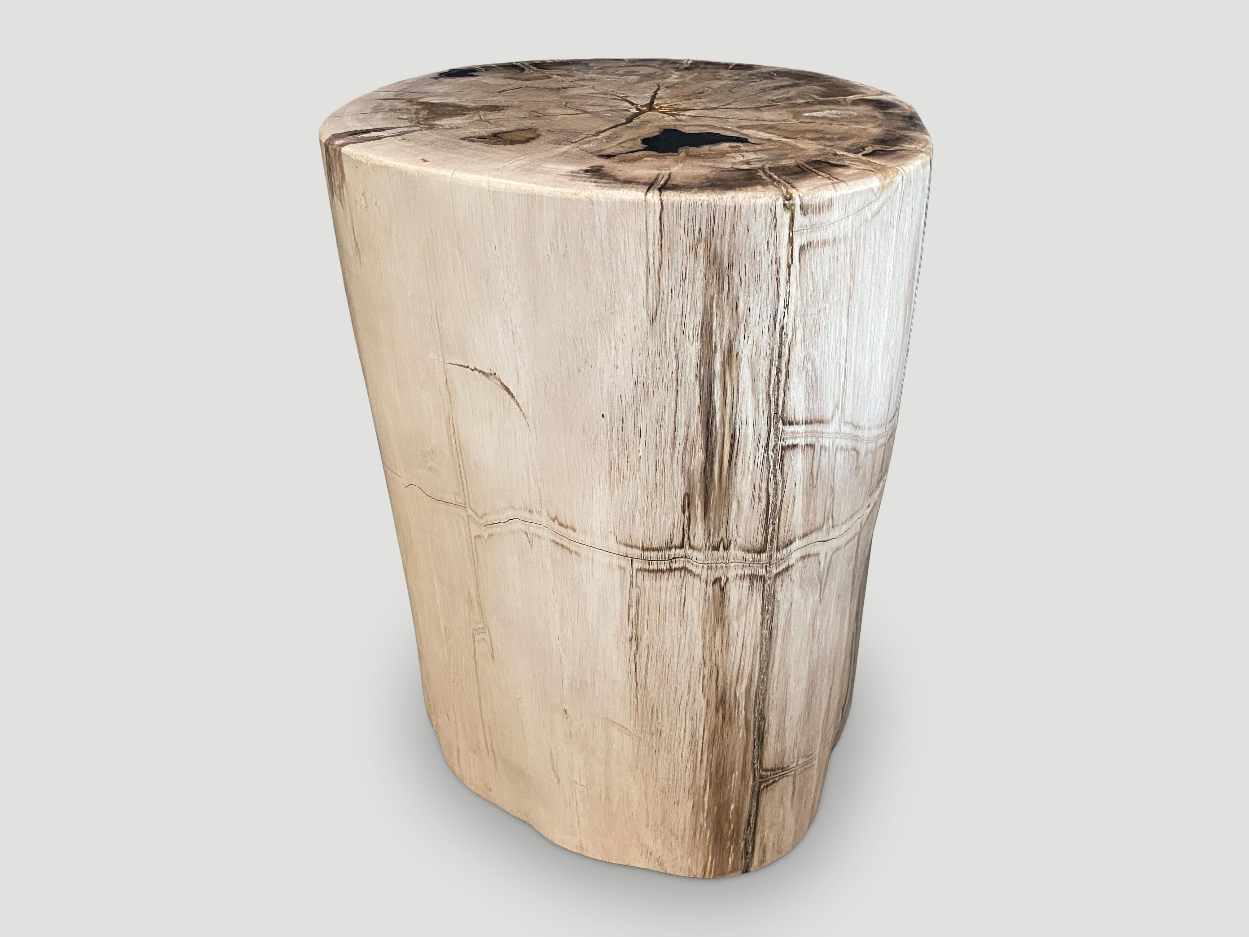 Contemporary Andrianna Shamaris Minimalist Unique High Quality Petrified Wood Side Table