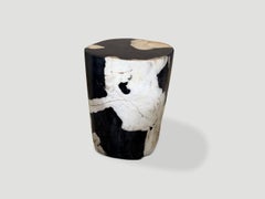 Andrianna Shamaris Modern Organic Ancient Petrified Wood Side Table