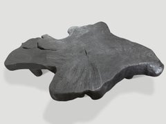 Andrianna Shamaris Modern Organic Charred Coffee Table