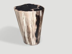 Andrianna Shamaris Modern Organic High Quality Petrified Wood Side Table