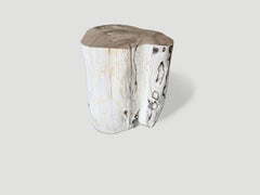 Andrianna Shamaris Modern Organic Minimalist Petrified Wood Side Table