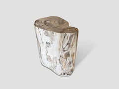 Andrianna Shamaris Modern Organic Minimalist Petrified Wood Side Table