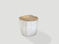 Andrianna Shamaris Modern Organic Minimalist Petrified Wood Side Table