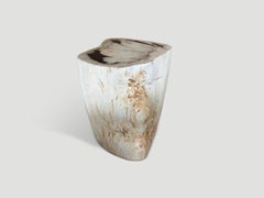 Andrianna Shamaris Modern Organic Minimalist Petrified Wood Side Table