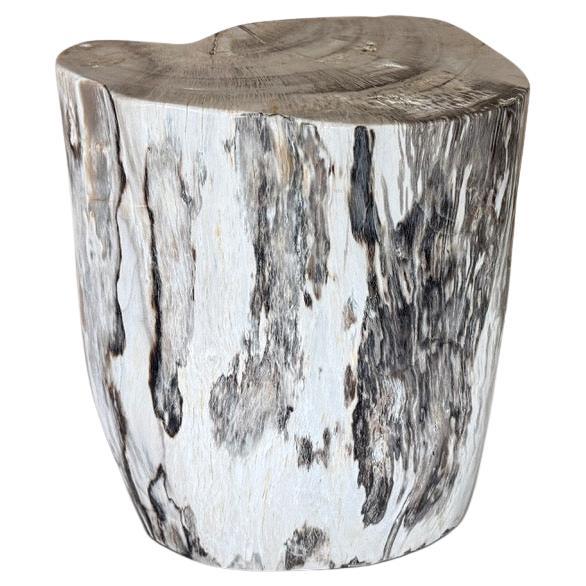 Andrianna Shamaris Modern Organic Minimalist Petrified Wood Side Table For Sale