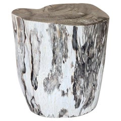 Andrianna Shamaris Modern Organic Minimalist Petrified Wood Side Table