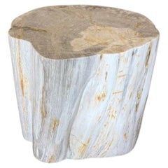 Andrianna Shamaris Modern Organic Minimalist Petrified Wood Side Table