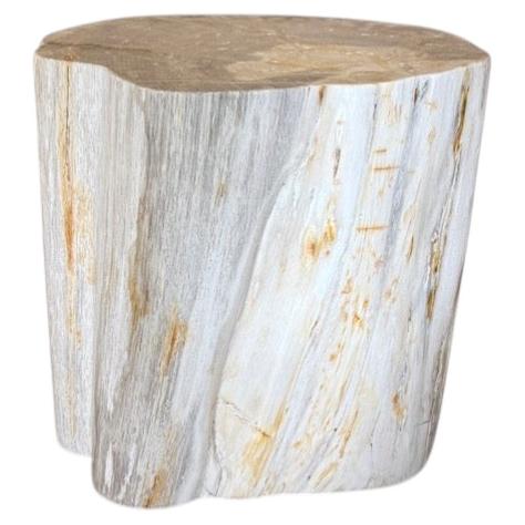 Andrianna Shamaris Modern Organic Minimalist Petrified Wood Side Table