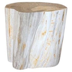 Andrianna Shamaris Modern Organic Minimalist Petrified Wood Side Table