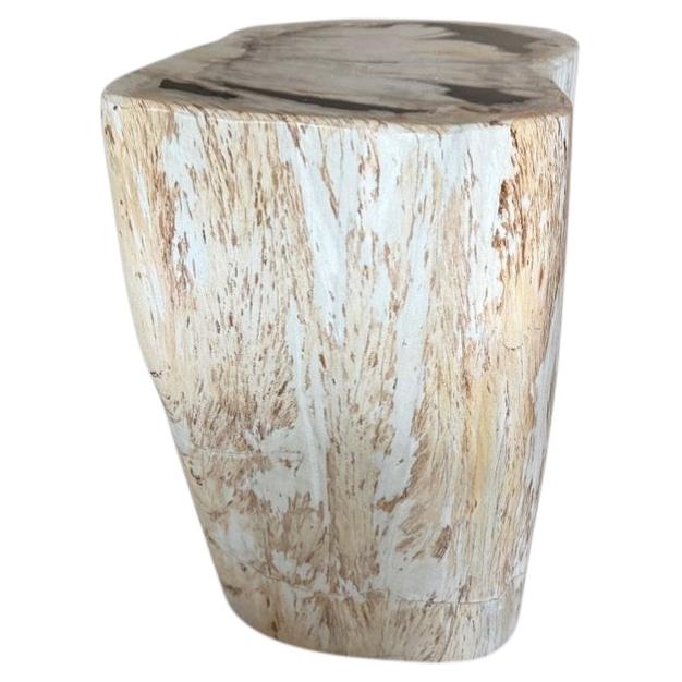Andrianna Shamaris Modern Organic Minimalist Petrified Wood Side Table