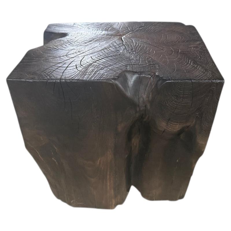 Andrianna Shamaris Modern Organic Modern Teak Wood Charred Side Table
