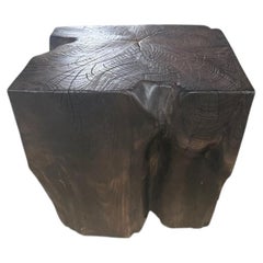 Andrianna Shamaris Tavolino moderno organico in Wood Wood carbonizzato