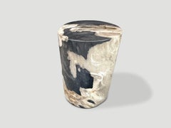 Andrianna Shamaris Modern Organic Petrified Wood Side Table