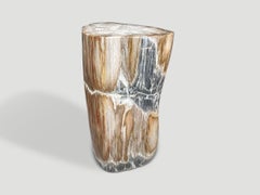 Andrianna Shamaris Modern Organic Petrified Wood Side Table