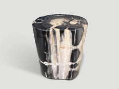 Table d'appoint « Modern Organic » en bois pétrifié d'Andrianna Shamaris