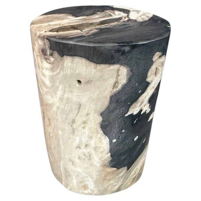 Table d'appoint « Modern Organic » en bois pétrifié d'Andrianna Shamaris