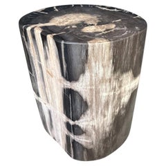 Tavolino in legno pietrificato Modern Organic di Adrianna Shamaris