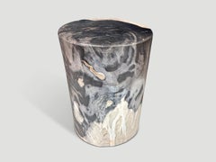 Andrianna Shamaris Modern Organic Super Smooth Petrified Wood Beistelltisch
