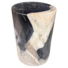 Andrianna Shamaris Modern Organic Super Smooth Petrified Wood Beistelltisch