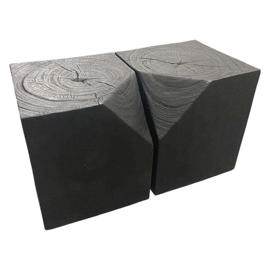 Andrianna Shamaris Modular Charred Suar Wood Coffee Table