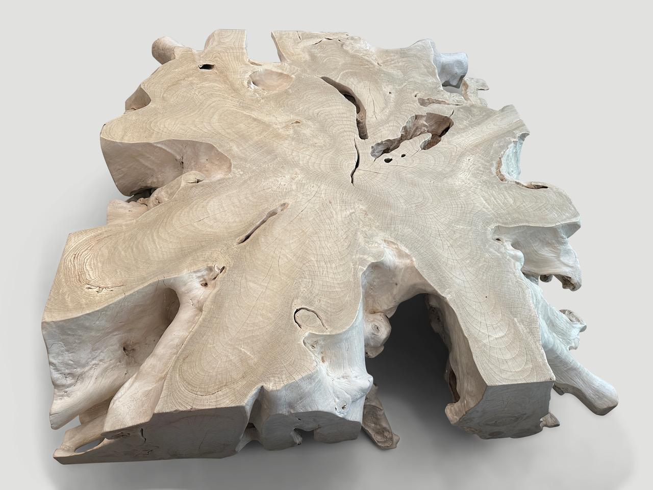 Un beau bois de teck centenaire poncé et blanchi pour produire une table basse impressionnante. Des formations rocheuses se trouvent sur les côtés de cette racine de teck centenaire. Nous avons ajouté un polish sur le dessus pour un léger contraste