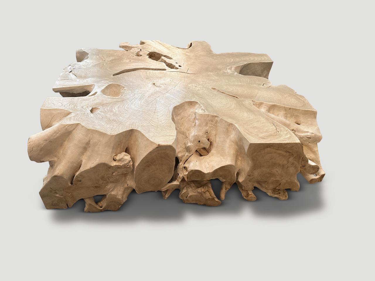 Organique Table basse monumentale Andrianna Shamaris en bois de teck blanchi à racines organiques en vente