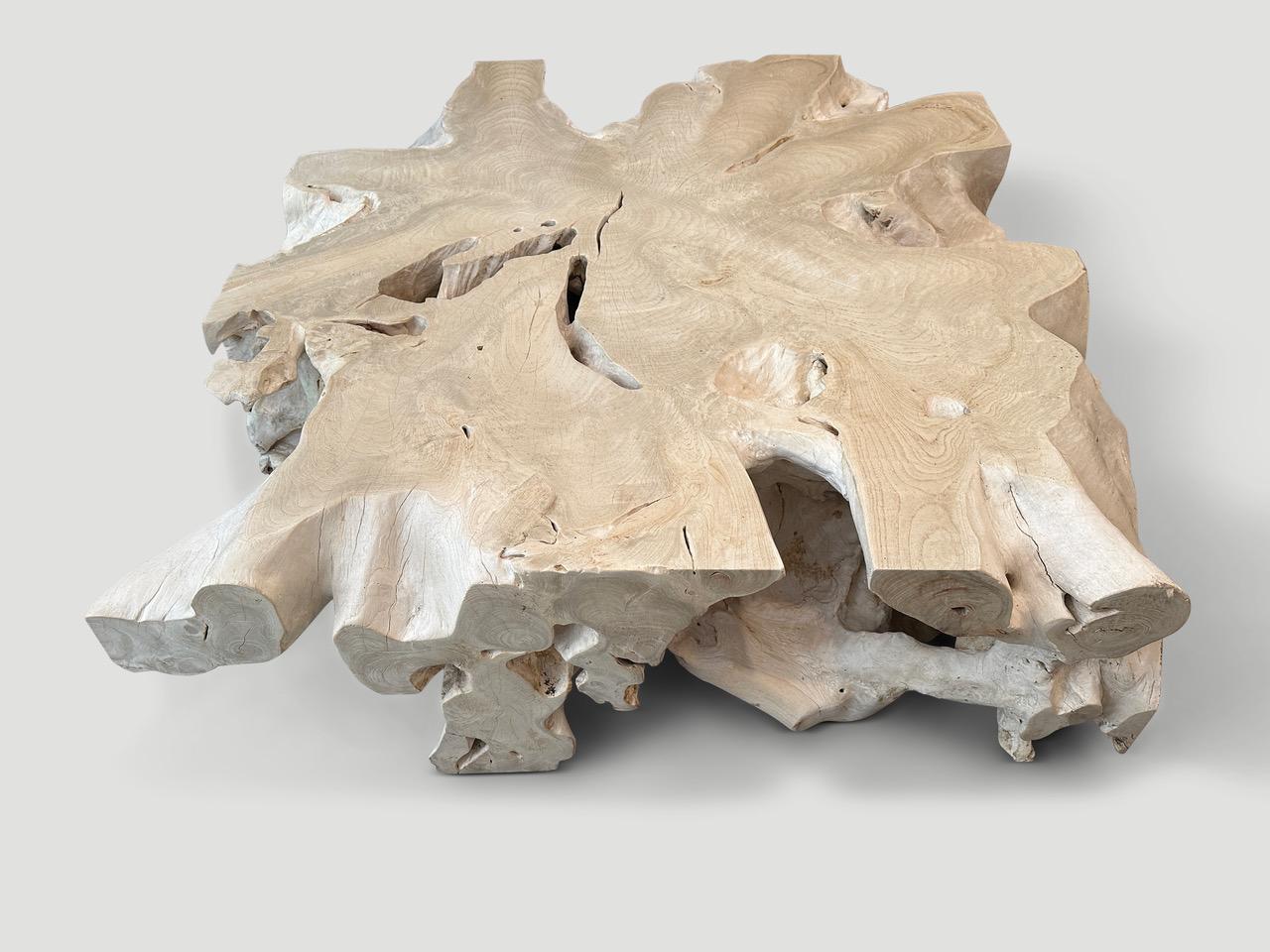 Bois Table basse monumentale Andrianna Shamaris en bois de teck blanchi à racines organiques en vente