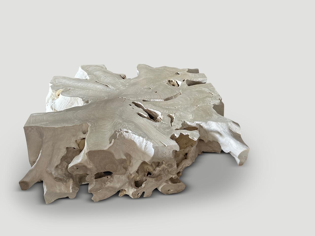 XXIe siècle et contemporain Table basse monumentale Andrianna Shamaris en bois de teck blanchi à racines organiques en vente