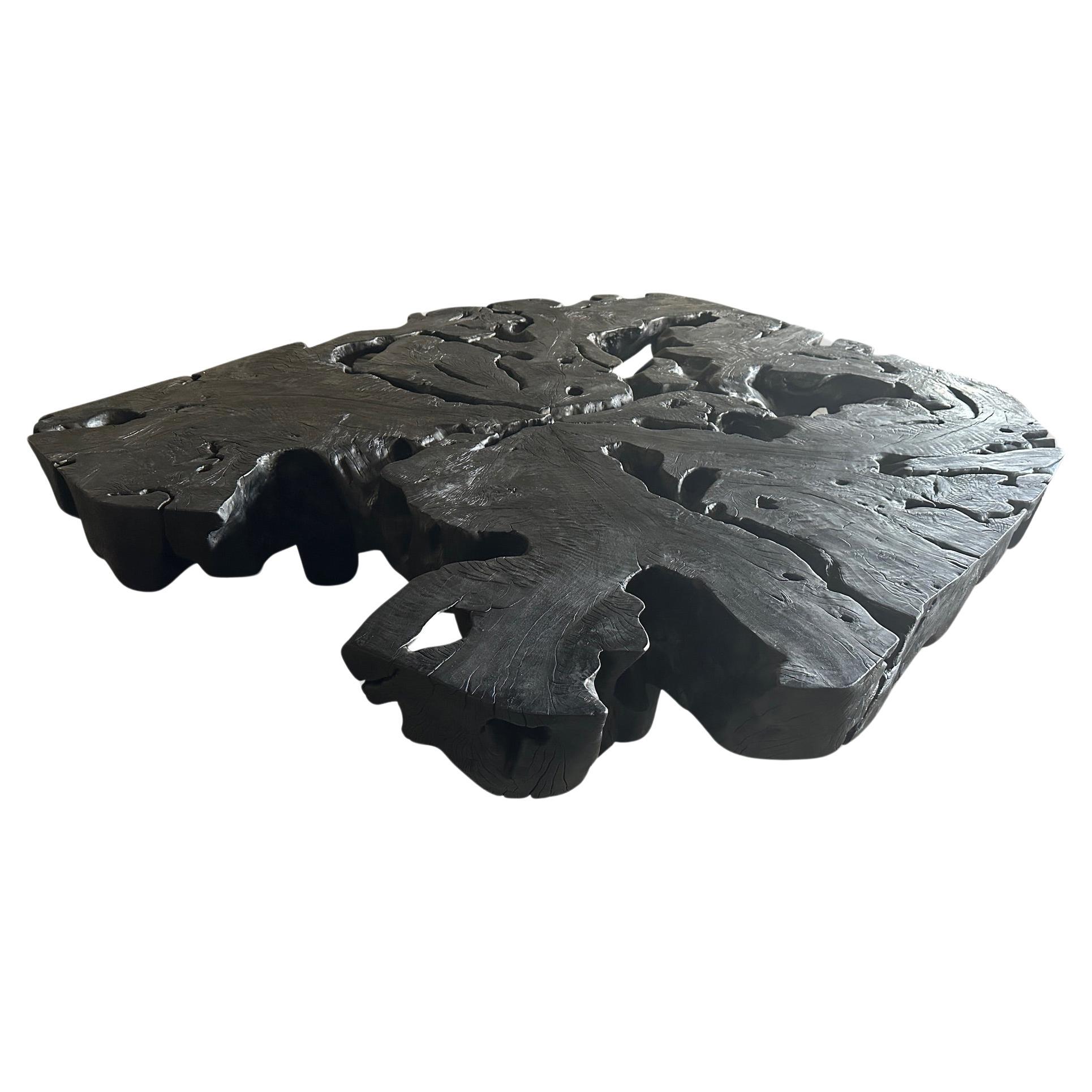 Andrianna Shamaris Monumental Charred Lychee Wood Coffee Table For Sale