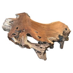 Andrianna Shamaris Monumental Organic Teak Wood Coffee Table