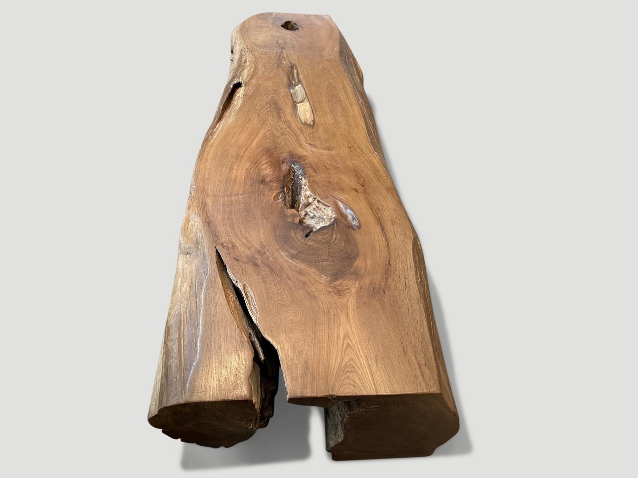 Andrianna Shamaris Monumental Organic Teak Wood Coffee Table or Bench For Sale 2
