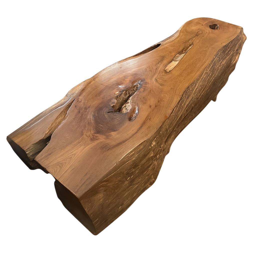 Tavolino o panca in legno di teak organico monumentale di Andrianna Shamaris