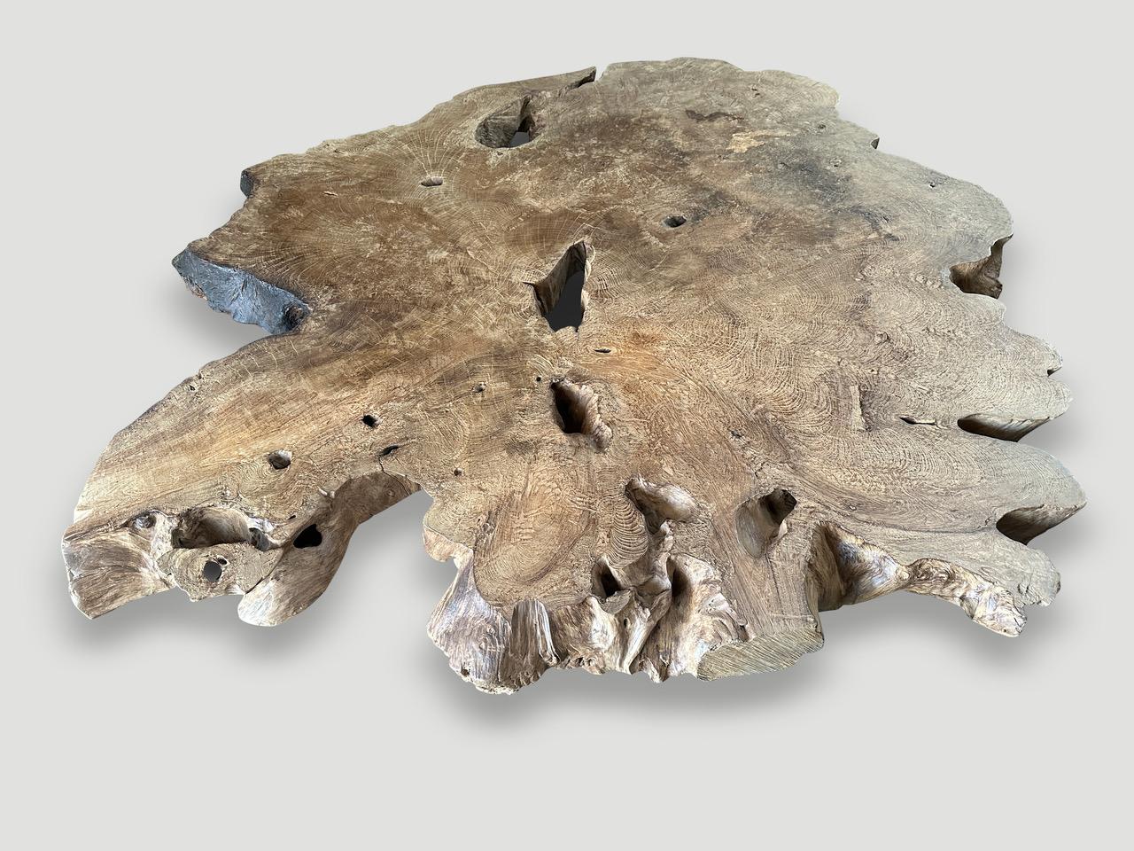 Mid-Century Modern Andrianna Shamaris Table basse monumentale en bois de teck à loupe rare en vente