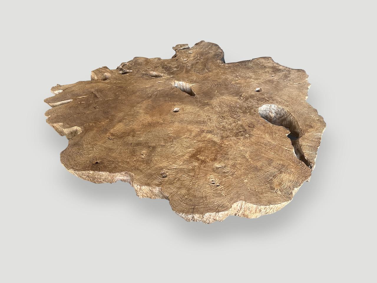 Andrianna Shamaris Table basse monumentale en bois de teck à loupe rare Excellent état - En vente à New York, NY