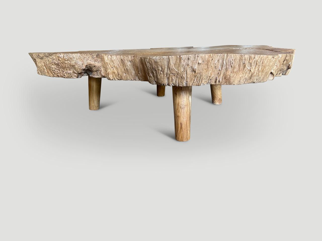 XXIe siècle et contemporain Andrianna Shamaris Table basse monumentale en bois de teck à loupe rare en vente