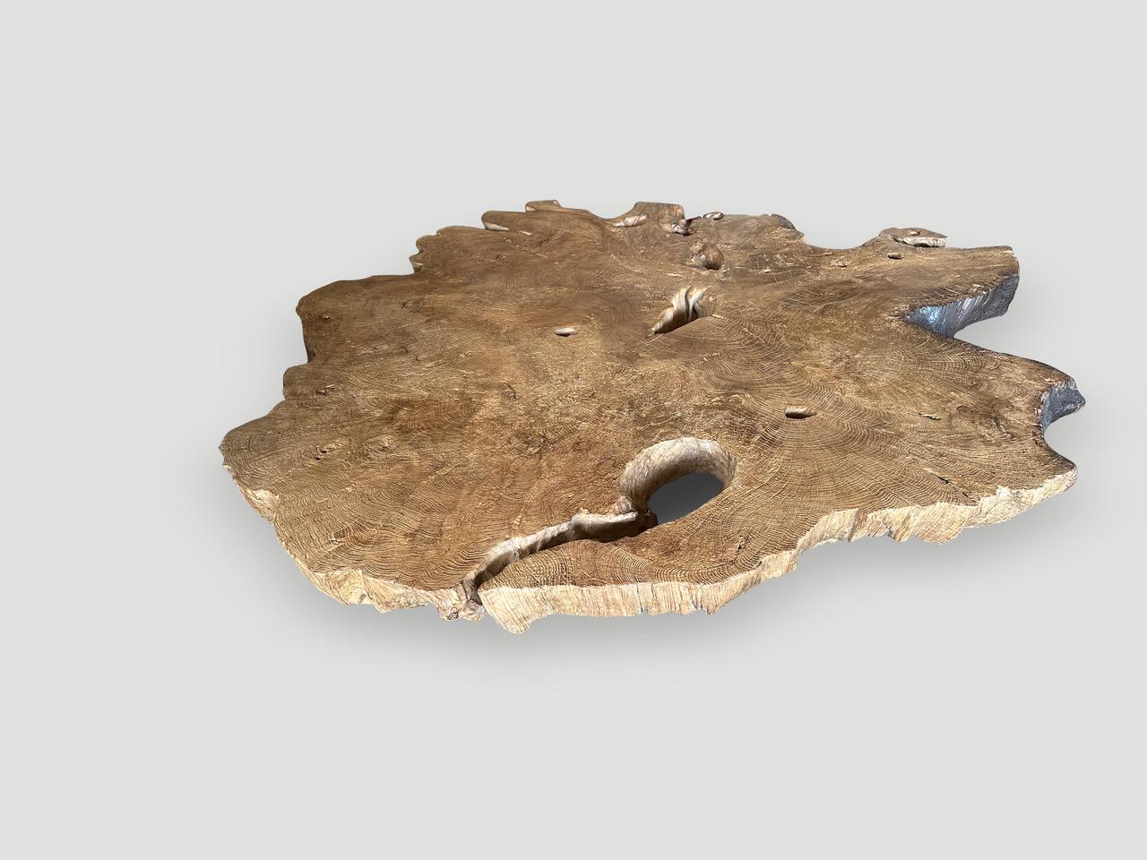 Bois Andrianna Shamaris Table basse monumentale en bois de teck à loupe rare en vente