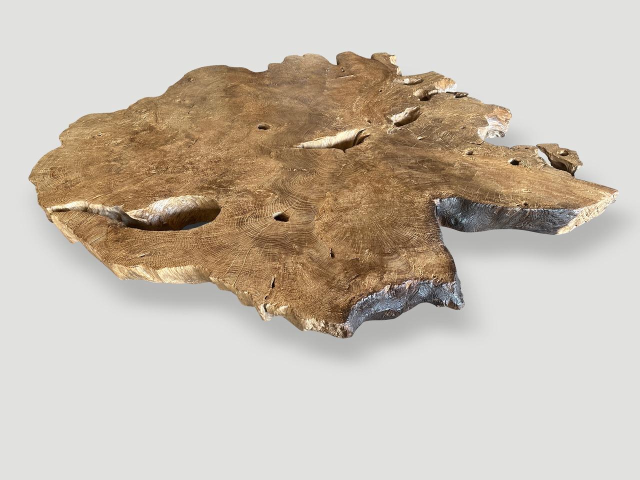 Andrianna Shamaris Table basse monumentale en bois de teck à loupe rare en vente 1