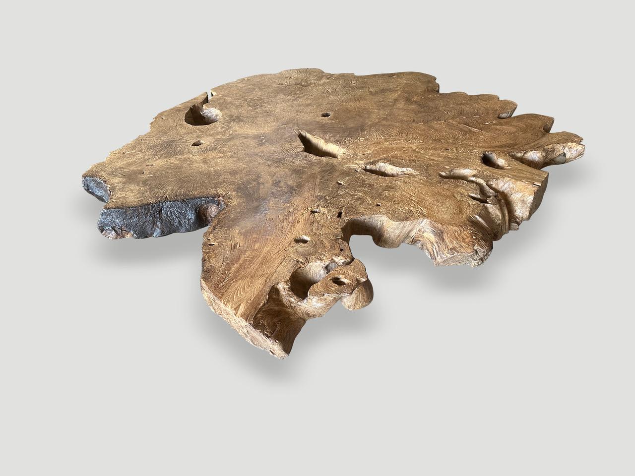Andrianna Shamaris Table basse monumentale en bois de teck à loupe rare en vente 2