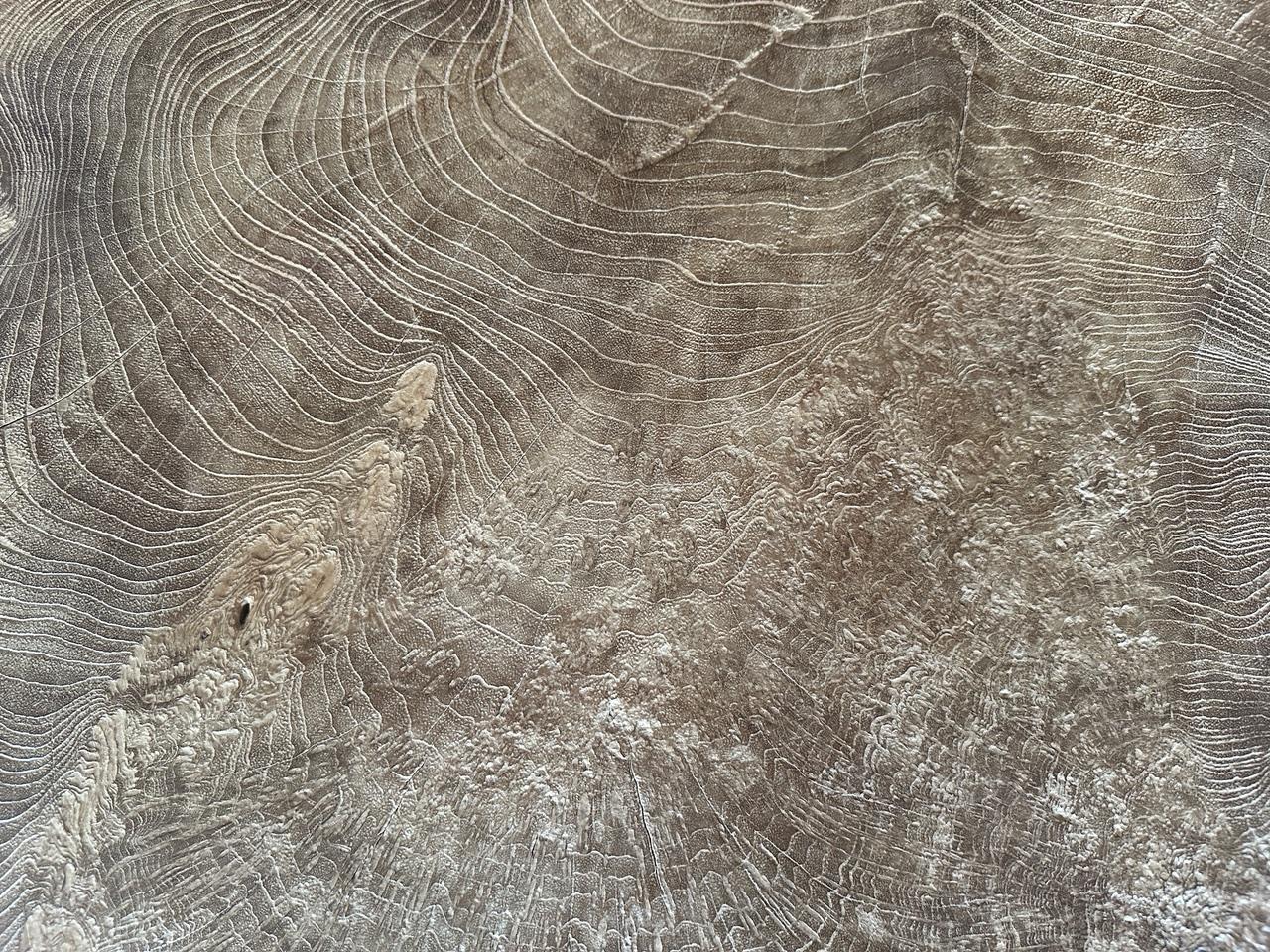 Andrianna Shamaris Table basse monumentale en bois de teck à loupe rare en vente 3