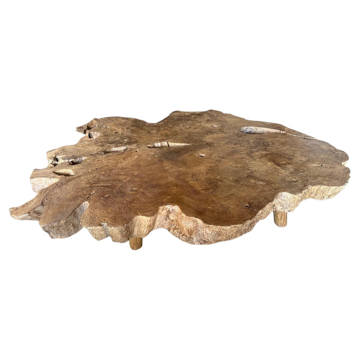 Andrianna Shamaris Table basse monumentale en bois de teck à loupe rare en vente